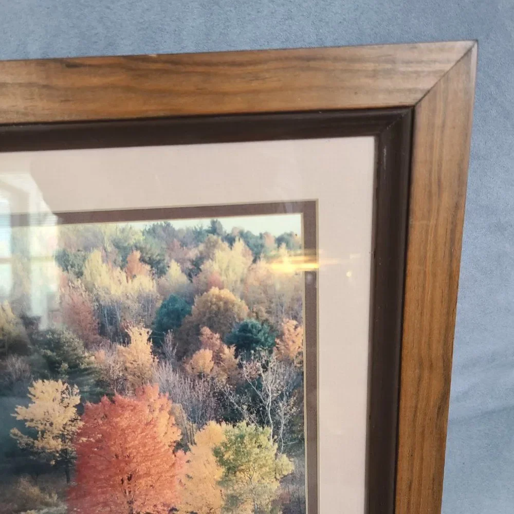 Vintage Autumn Fall Photography Wall Hanging Framed and Matted J Palmer 1988